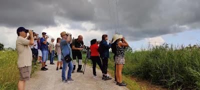 AVES EN ALGUNOS ENTORNOS URBANOS