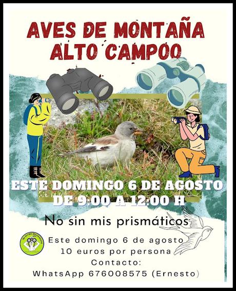 AVES EN ALGUNOS ENTORNOS URBANOS