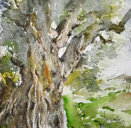 Acuarelas junio 2023 Acuarelas junio 2023