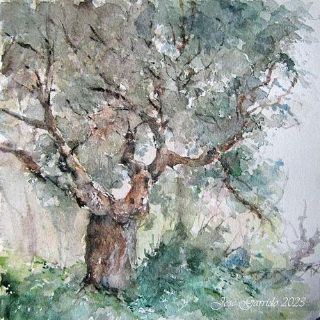 Acuarelas junio 2023 Acuarelas junio 2023