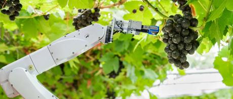 El Futuro Agrícola: Cuaderno de Campo y Agricultura Alternativa 3