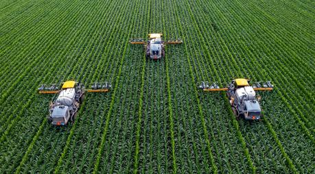 El Futuro Agrícola: Cuaderno de Campo y Agricultura Alternativa 4