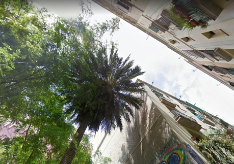 Asi nos enseña Google map como fue deteriorándose la palmera que hoy causó la muerte de una chica de 20 años en Barcelona