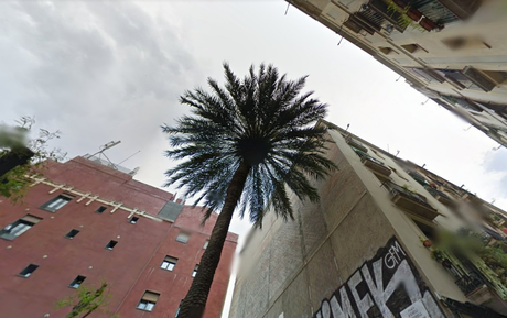 Asi nos enseña Google map como fue deteriorándose la palmera que hoy causó la muerte de una chica de 20 años en Barcelona