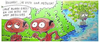 Del mes de agosto