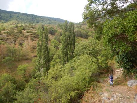 Camino a la ermita de la Mare de Déu de les Neus