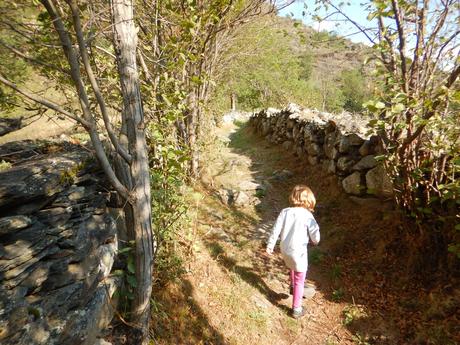 Camino de subida a Àrreu Camino de subida a Àrreu