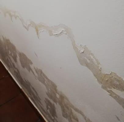 ¿Cómo pintar una pared con humedad?