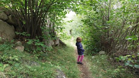 Ruta circular de Son a les Planes de Son (Pallars Sobirà)
