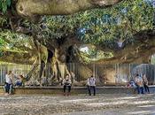 Paseo recoleta