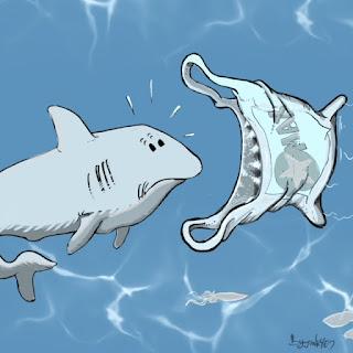 De las falacias en tiempos electorales