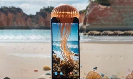 Descarga MedusApp para saber si hay medusas en playas catalanas Descarga MedusApp para saber si hay medusas en playas catalanas