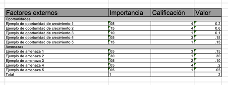 Qué es una matriz EFE, cómo se realiza y ejemplos