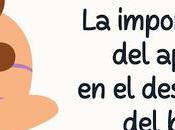 importancia apego desarrollo bebé