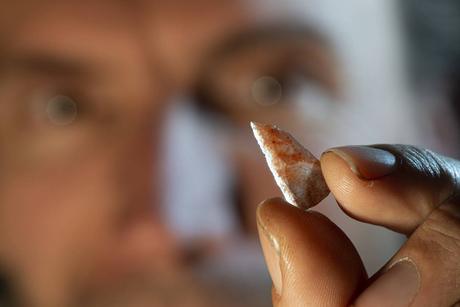 Unboxing Homo Sapiens