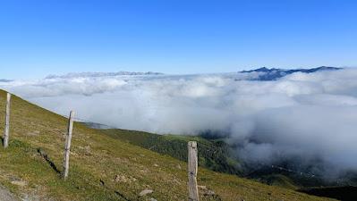 AVES DE ALTA MONTAÑA EN CANTABRIA