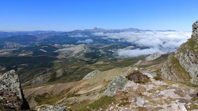 AVES DE ALTA MONTAÑA EN CANTABRIA