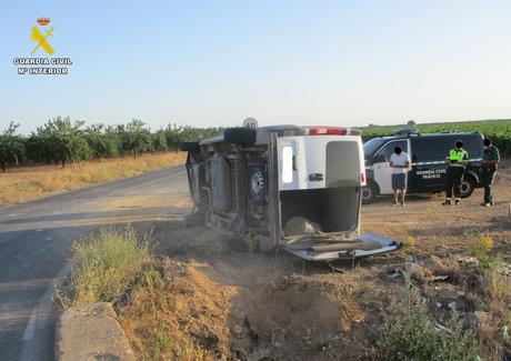 Dos linces ibéricos mueren atropellados en las carreteras de Toledo en la última semana, según Ecologistas