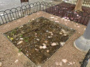 La Junta reconocerá al profesorado técnico de FP la puntuación de experiencia en el mismo cuerpo en listas de interinos