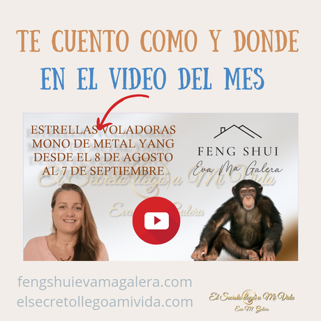 Día 10 de Agosto cambio de ajustes