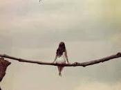 5.566 desde nubes...