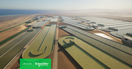 Brilliant Planet amplía su proceso de captura de carbono a partir de algas con una solución de automatización universal de Schneider Electric y Platinum Electrical Engineering