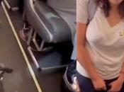 Vuelo Viva Aerobus retrasado tras incidente perrito apoyo emocional