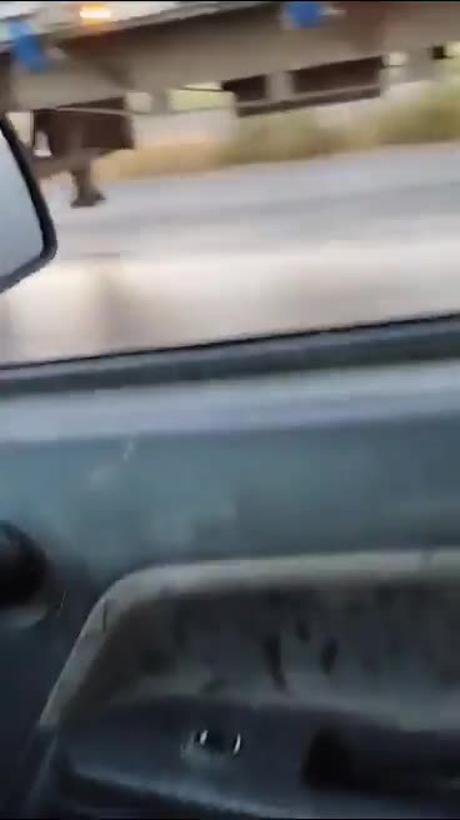 Presunto asaltante es arrastrado por tráiler en la autopista México-Puebla