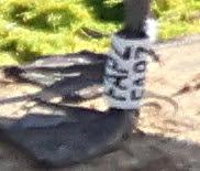 Esperando historial gaviota FAPZ