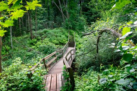 Las 10 mejores cosas que hacer en Jyväskylä