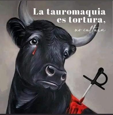 El PP y Vox, en contra de las entidades que defienden el catalán… Y Macarena y David, noviazgo con ideologías opuestas.