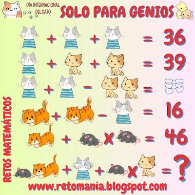 DESCUBRE EL RESULTADO Día del Gato, Día Internacional del Gato, Desafíos matemáticos, Retos matemáticos, Problemas matemáticos, Problemas para pensar, Retos visuales, Retos virales, Retos mentales, Reto visual, Descubre el número, Descubre el resultado
