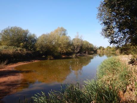 Pantà de la Casanova