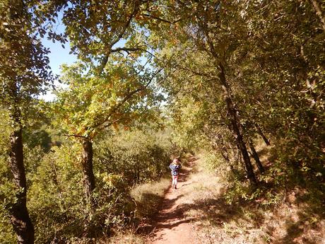 Sendero al pantà de les Illes