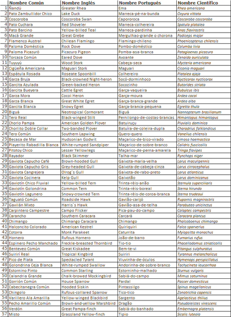 Recorrida por San Clemente del Tuyú y General Lavalle