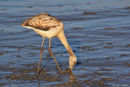 Recorrida por San Clemente del Tuyú y General Lavalle