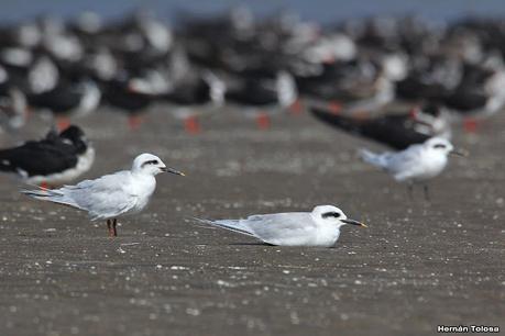 Recorrida por San Clemente del Tuyú y General Lavalle