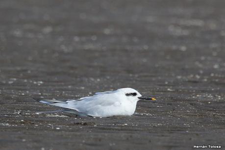 Recorrida por San Clemente del Tuyú y General Lavalle