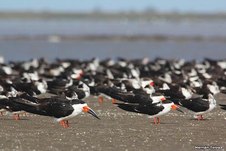 Recorrida por San Clemente del Tuyú y General Lavalle