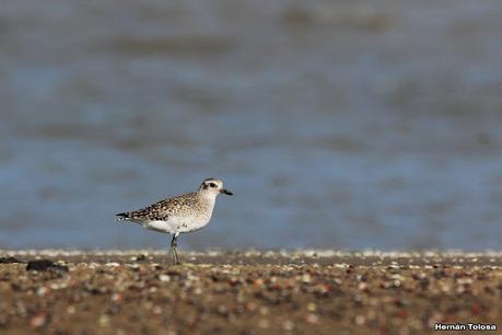 Recorrida por San Clemente del Tuyú y General Lavalle