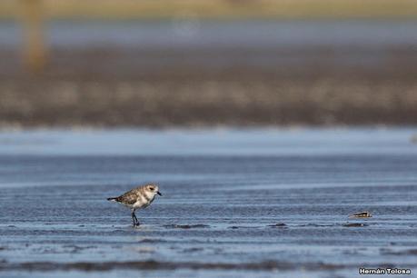 Recorrida por San Clemente del Tuyú y General Lavalle