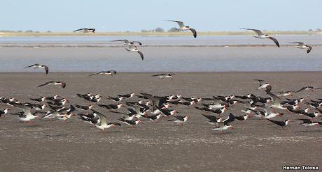 Recorrida por San Clemente del Tuyú y General Lavalle