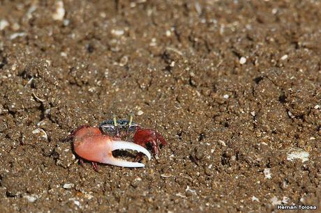 Recorrida por San Clemente del Tuyú y General Lavalle