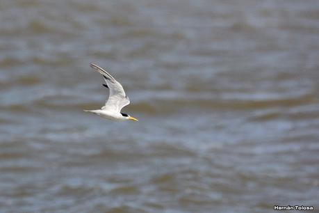 Recorrida por San Clemente del Tuyú y General Lavalle