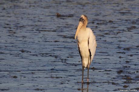 Recorrida por San Clemente del Tuyú y General Lavalle
