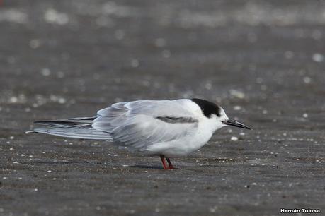 Recorrida por San Clemente del Tuyú y General Lavalle