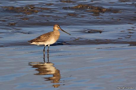 Recorrida por San Clemente del Tuyú y General Lavalle