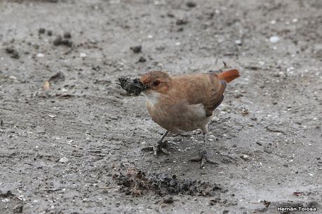 Recorrida por San Clemente del Tuyú y General Lavalle