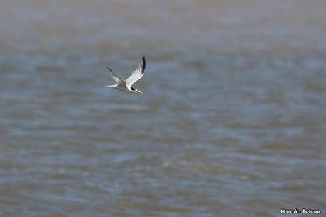 Recorrida por San Clemente del Tuyú y General Lavalle