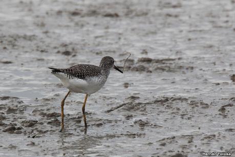 Recorrida por San Clemente del Tuyú y General Lavalle